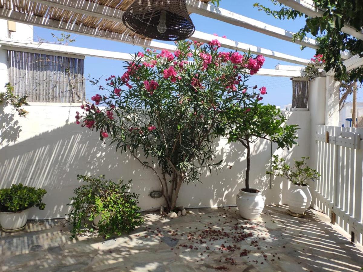 Villa Lydia'S Charming House In Naoussa Extérieur photo